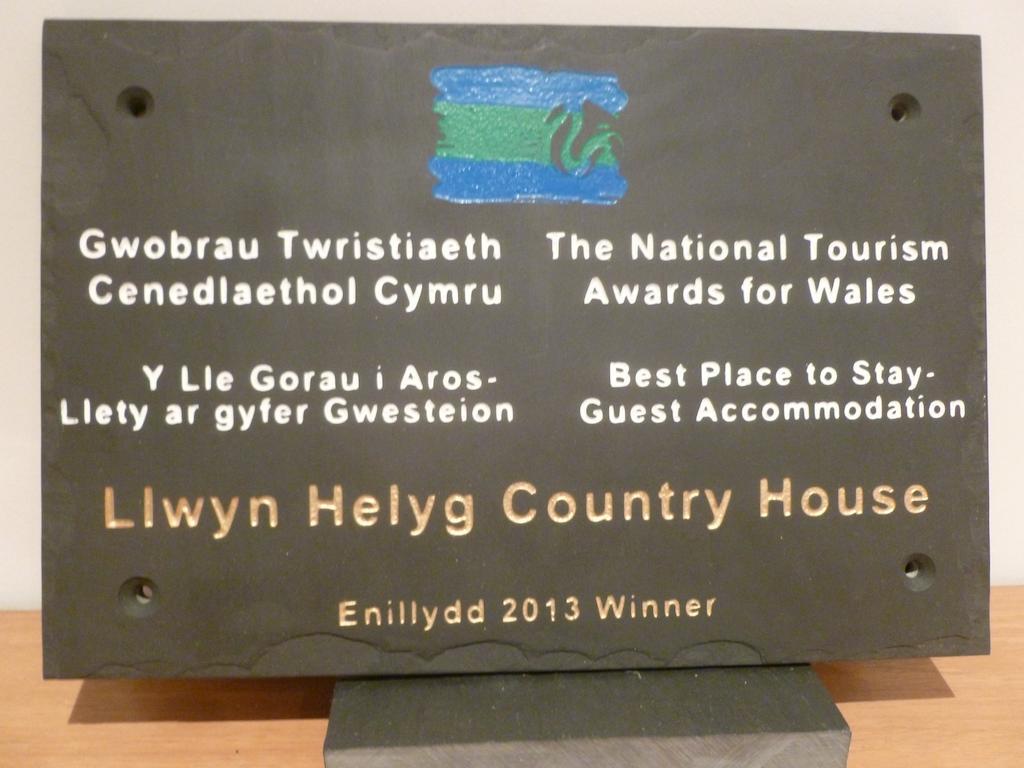 Llwyn Helyg Country House Pension Carmarthen Buitenkant foto