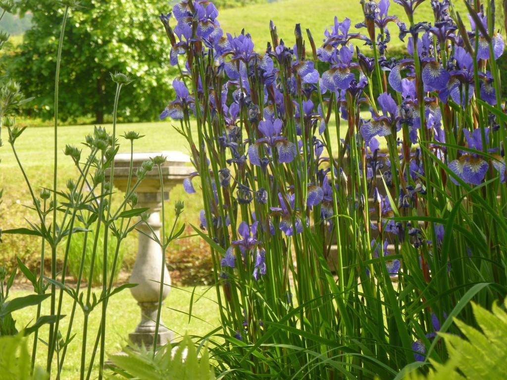 Llwyn Helyg Country House Pension Carmarthen Buitenkant foto